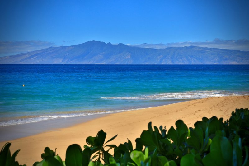 Cheap Hotels Maui Kaanapali Cheap Hotels Maui Kaanapali