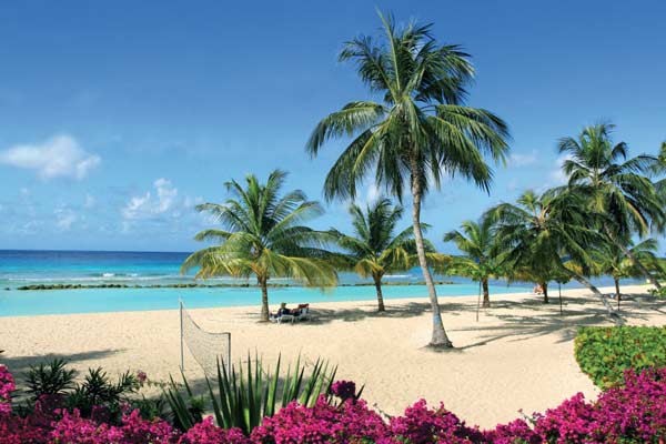 Coconut Beach Resort Rentals Coconut Beach Resort Rentals