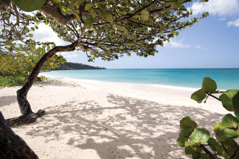 Spice Island Beach Resort Grenada Packages Spice Island Beach Resort Grenada Packages