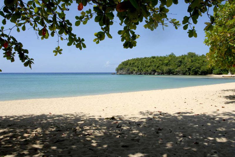 Shaw Park Beach Hotel And Spa Reviews Shaw Park Beach Hotel And Spa Reviews