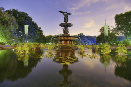 New york weekend deals cheap