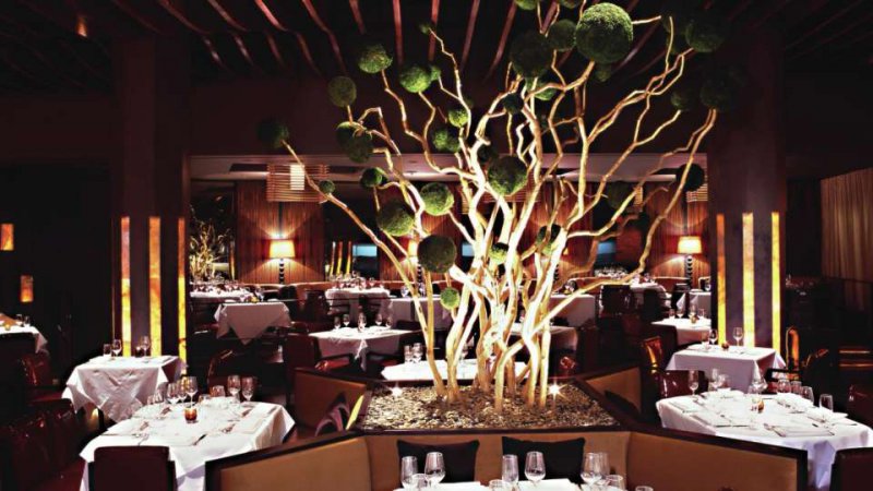 Mirage Hotel Las Vegas Wedding Packages Mirage Hotel Las Vegas Wedding Packages