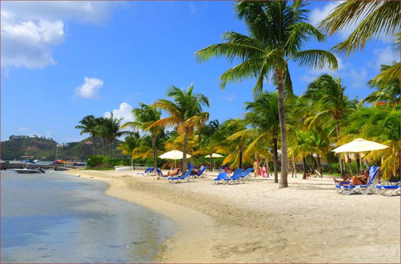 Hotel Le Flamboyant Saint Martin Hotel Le Flamboyant Saint Martin