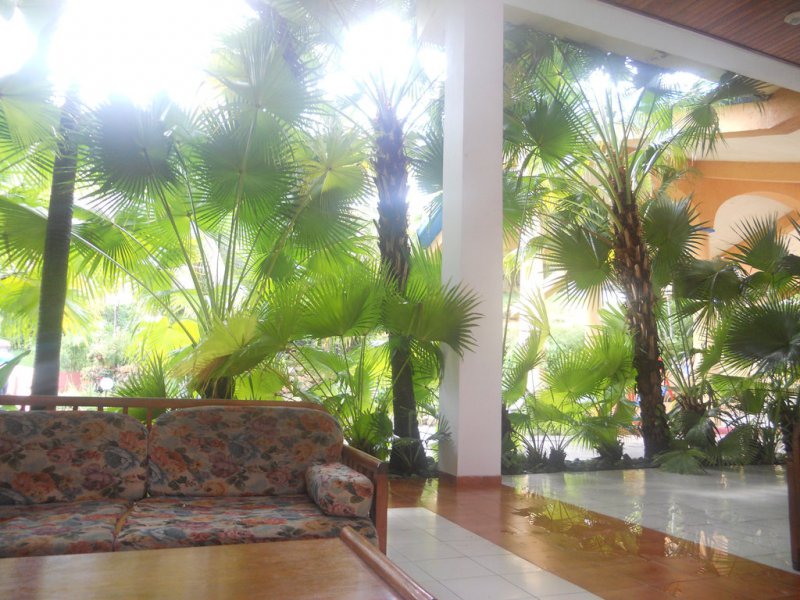 prostituée montrouge