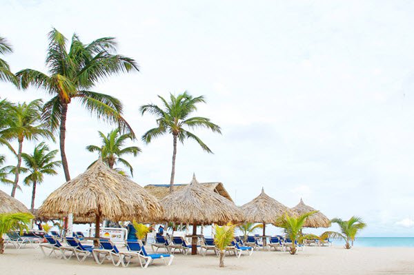 Brickell Bay Beach Club Hotel In Aruba Palm Beach Brickell Bay Beach Club Hotel In Aruba Palm Beach