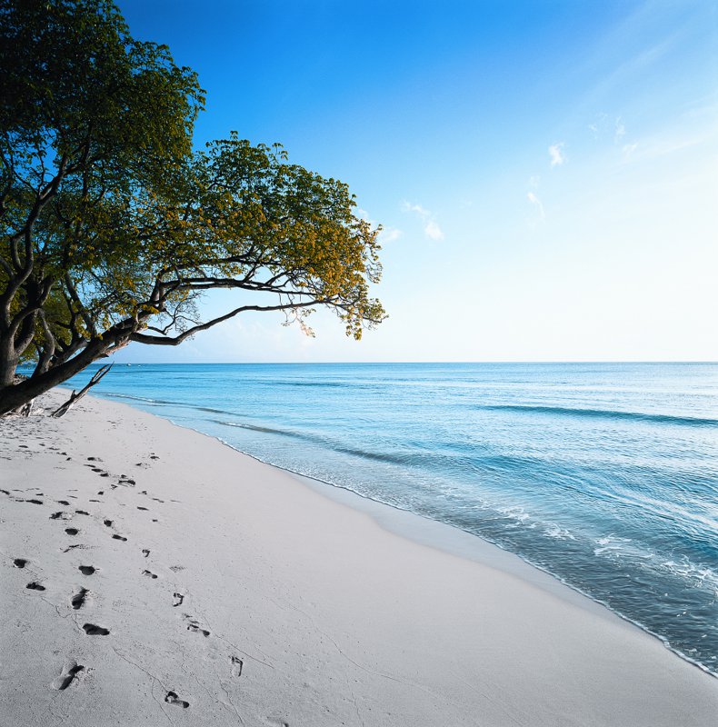 Is Almond Beach Resort In Barbados Closing Is Almond Beach Resort In Barbados Closing