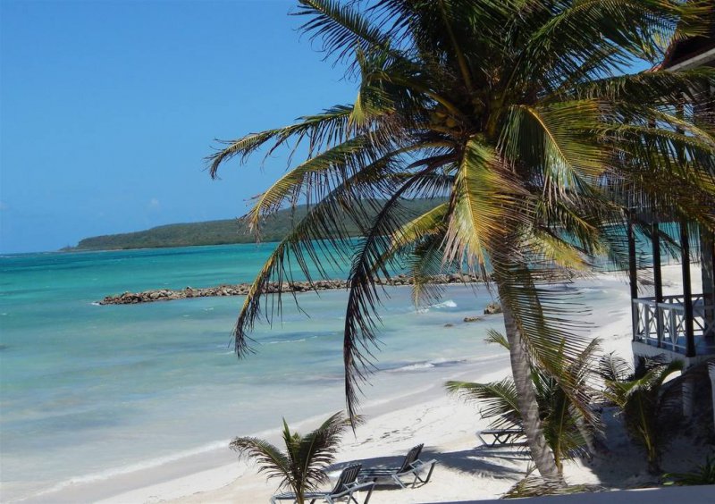 Mangos Jamaica A Boutique Beach Resort Cheap Vacations