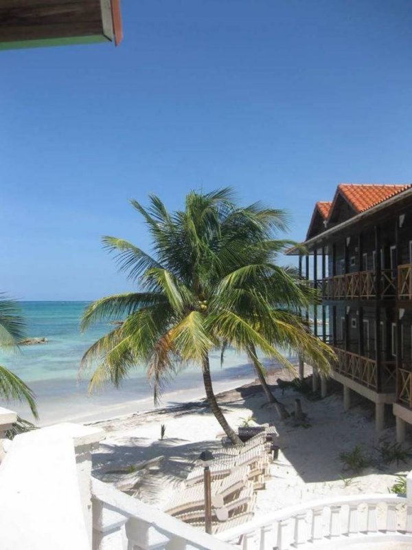 Mangos Jamaica A Boutique Beach Resort Cheap Vacations