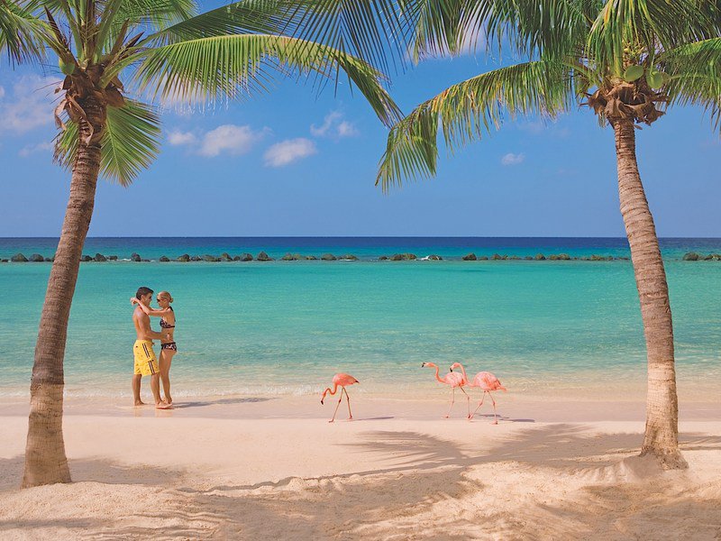 Renaissance aruba resort & casino cabana rental