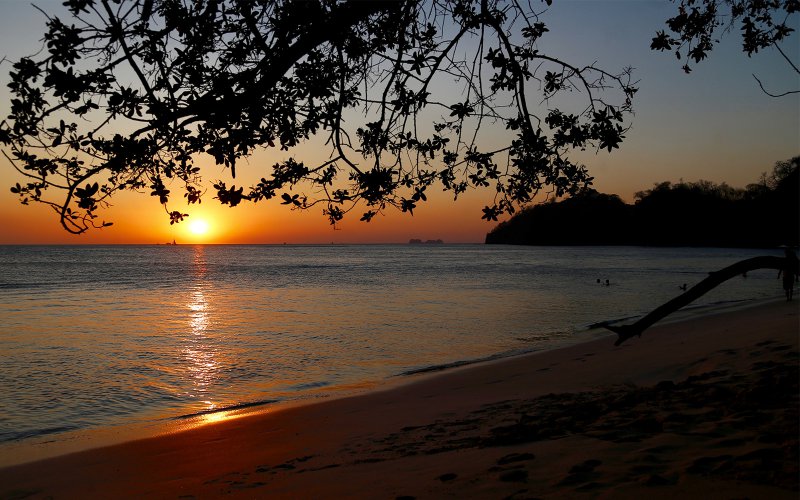 Flamingo Beach Resort And Spa Costa Rica Reviews Flamingo Beach Resort And Spa Costa Rica Reviews
